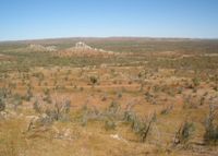 Proposed Roseby Copper Project Site